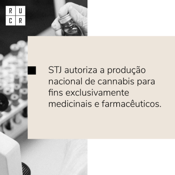 STJ autoriza a produção nacional de cannabis para fins exclusivamente medicinais e farmacêuticos